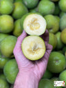 California White Sapote