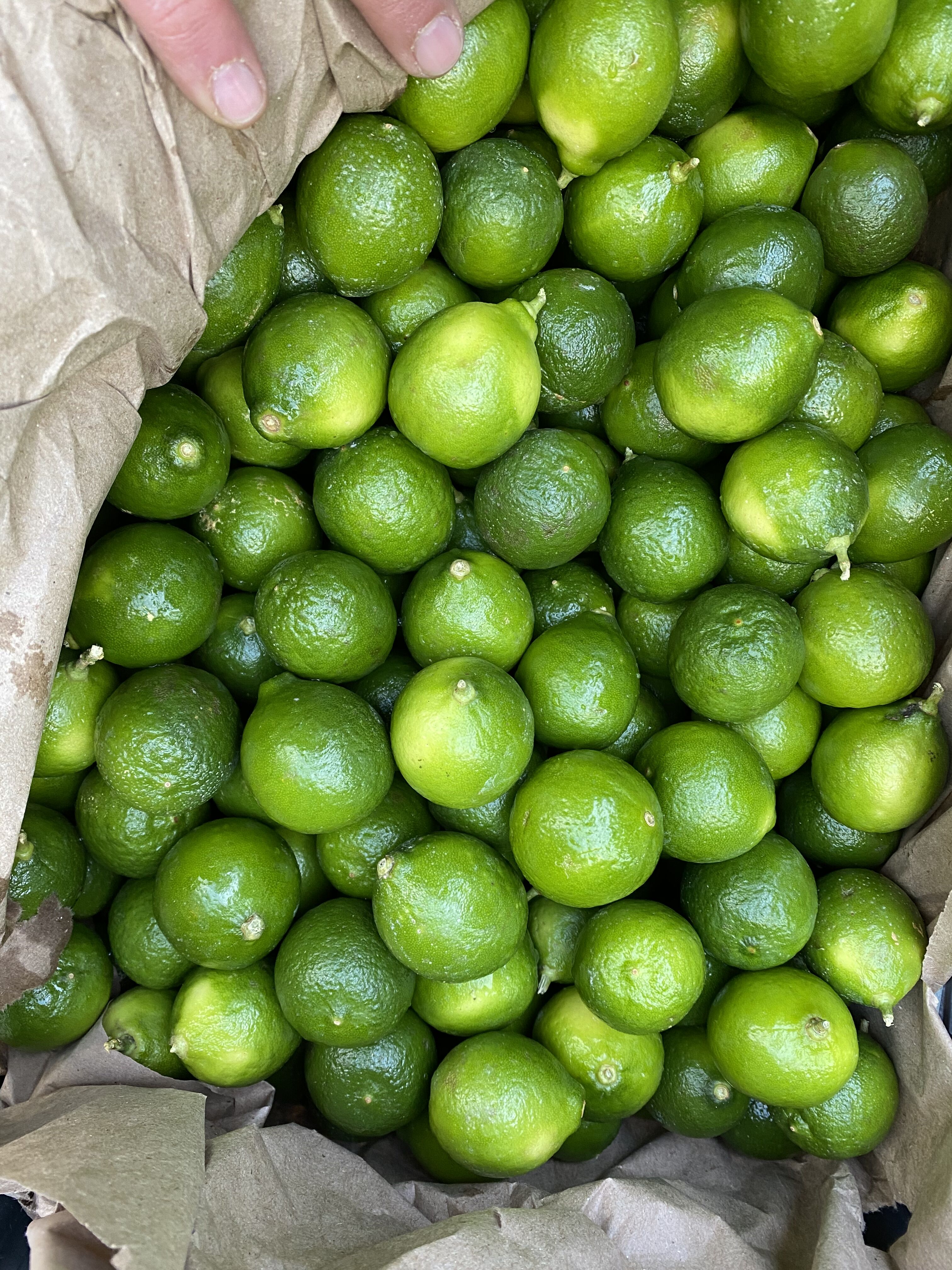 Squeezed Lime Juicing Key Limes KSP Squeeze Hand-Held Lime Juicer