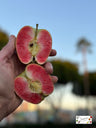 Rose Apples