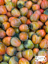 California Hachiya Persimmon