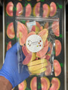 Freeze-Dried Fruits