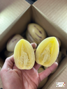 Pepino Melon